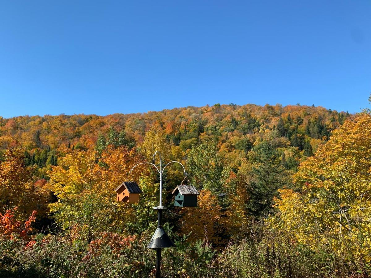 Lodge Nature Laurentides Val-des-Lacs Extérieur photo