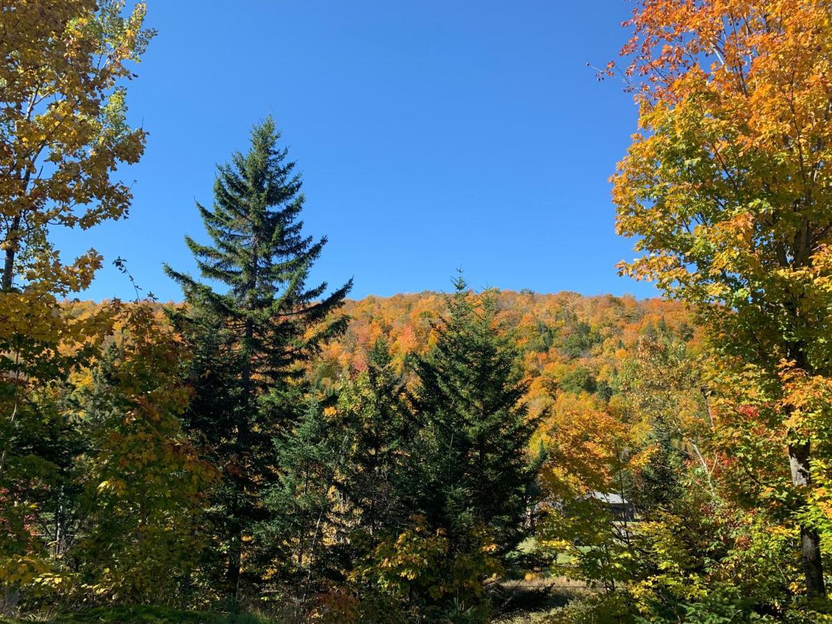 Lodge Nature Laurentides Val-des-Lacs Extérieur photo