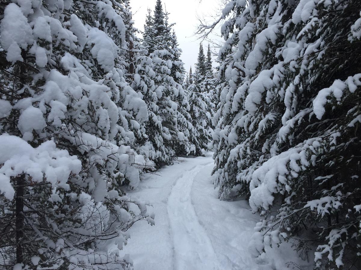 Lodge Nature Laurentides Val-des-Lacs Extérieur photo