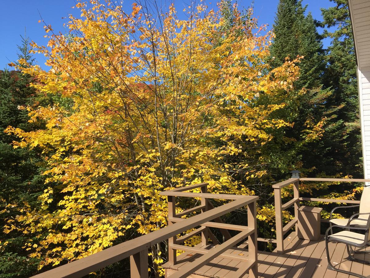 Lodge Nature Laurentides Val-des-Lacs Extérieur photo