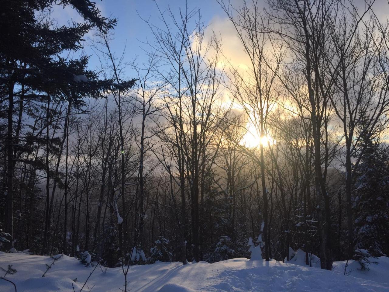 Lodge Nature Laurentides Val-des-Lacs Extérieur photo