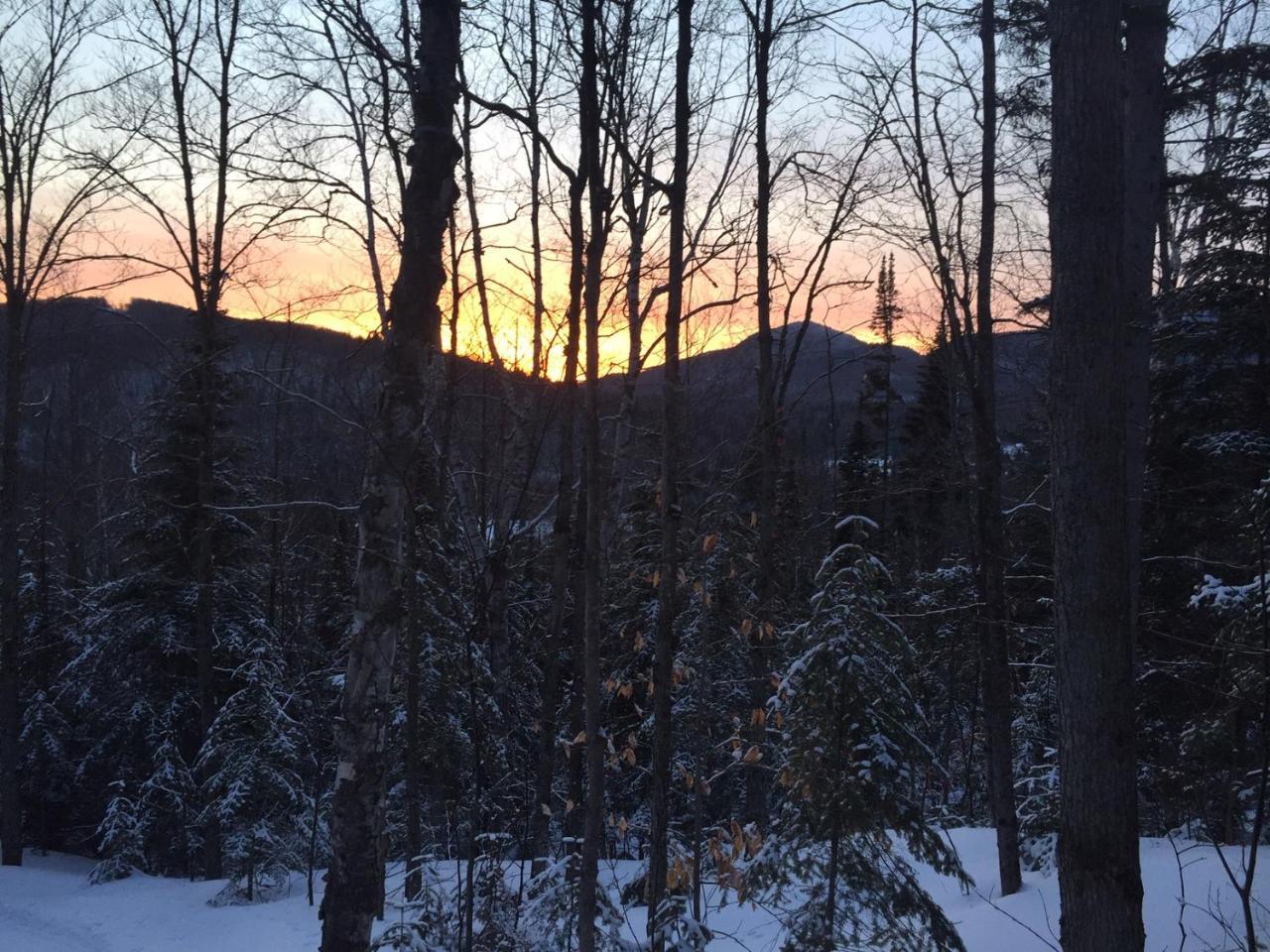 Lodge Nature Laurentides Val-des-Lacs Extérieur photo